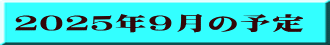 QOQTNX̗\